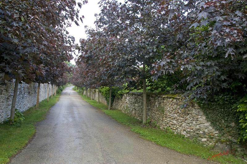 Cjp_2010_05_27_172210 (1).jpg